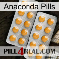 Anaconda Pills levitra2